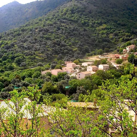 Les Jujubiers * Muro (Corsica)